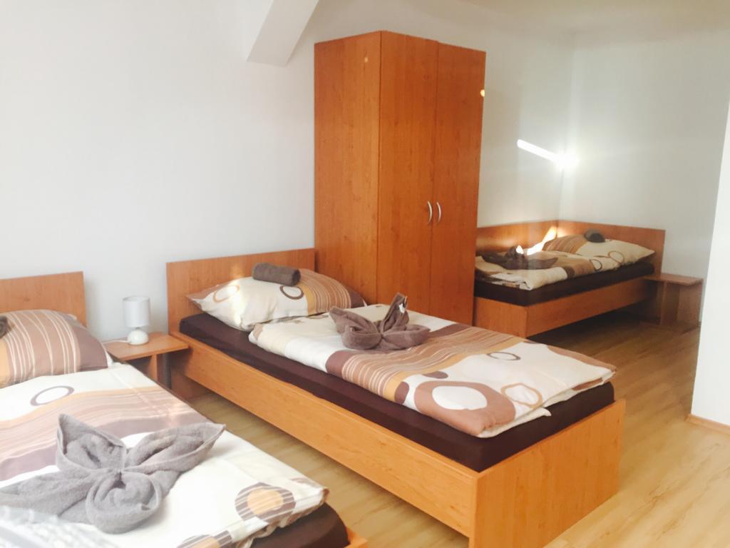 Guest House Hodus Vydrany Bagian luar foto